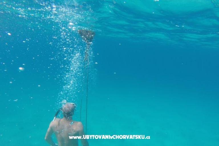 Apartamenty Villa Luce – foto 17