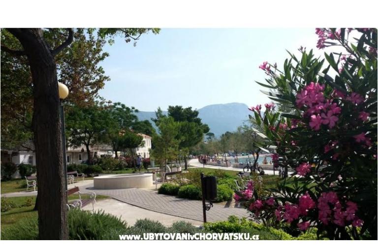 Adria Guesthouse – foto 6
