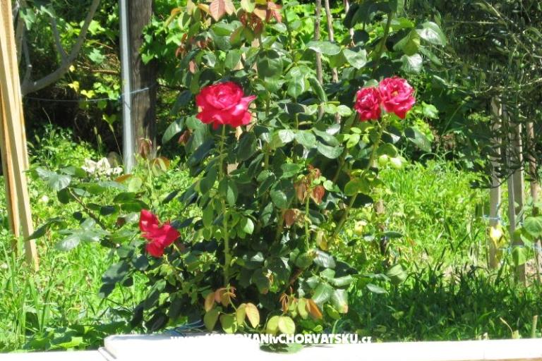 Apartamenty Božana – foto 6