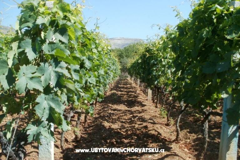 Apartamenty Grgin – foto 13