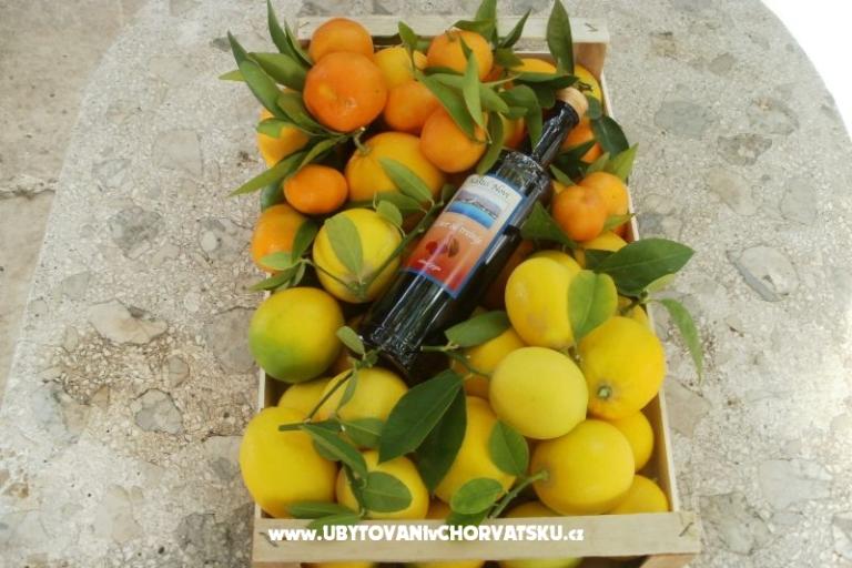 Apartamenty Grgin – foto 16