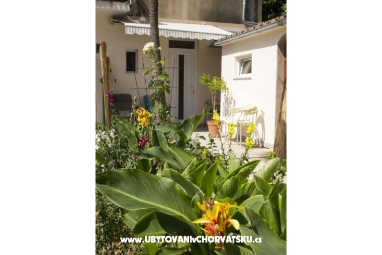 Apartamenty Bugenvilla – foto 11