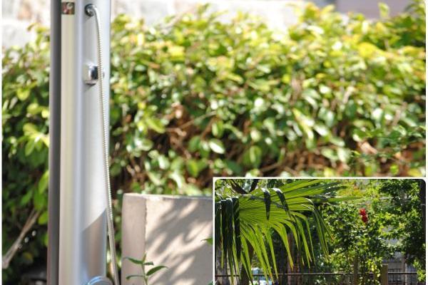 Apartamenty Bugenvilla – foto 7