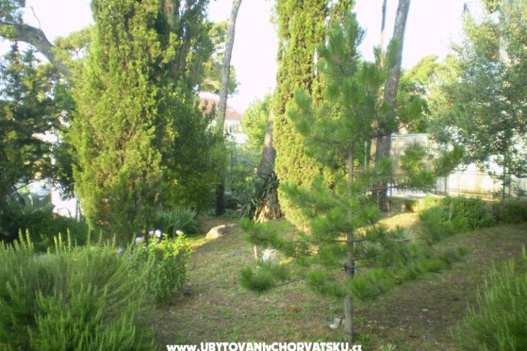 Apartamenty Grgin – foto 11