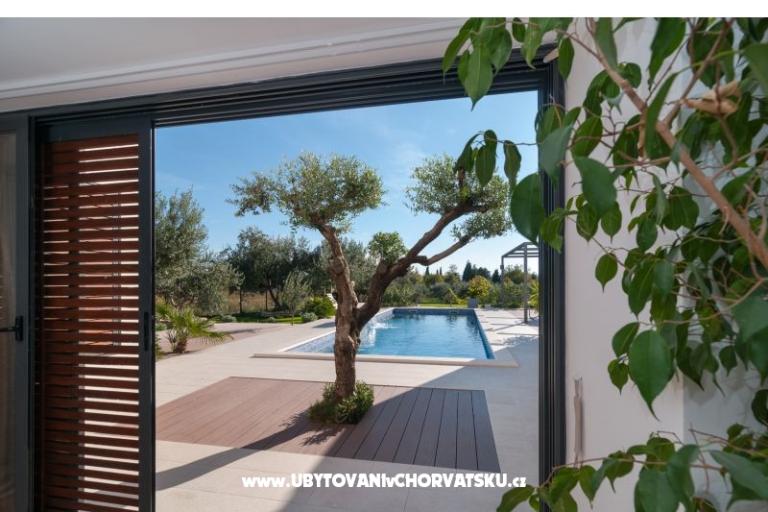 Villa Greta – foto 15