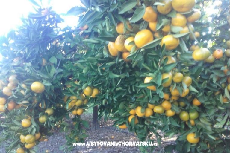 Apartamenty Alfijo – foto 11