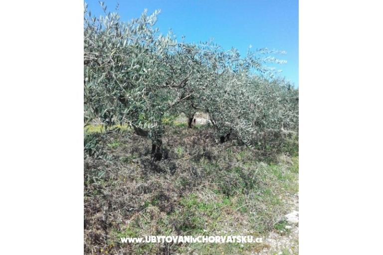 Apartamenty Alfijo – foto 13