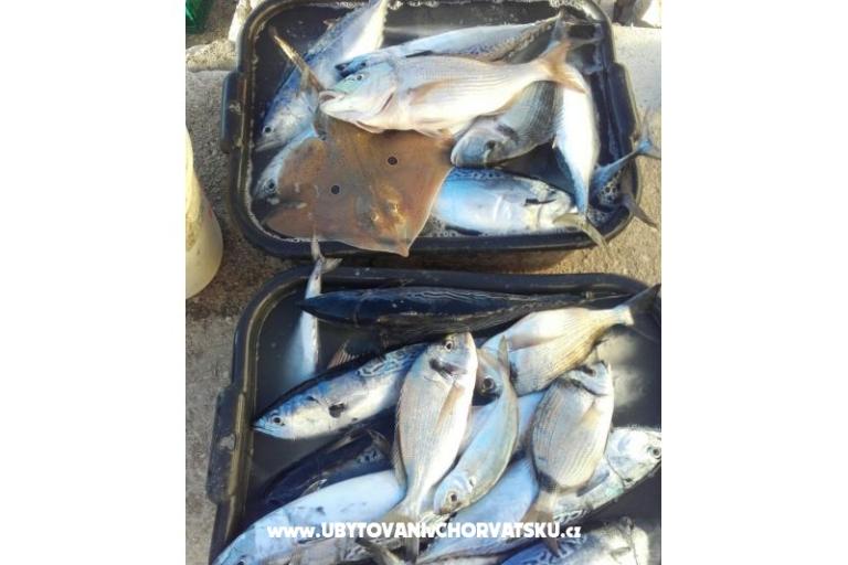 Apartamenty Alfijo – foto 9