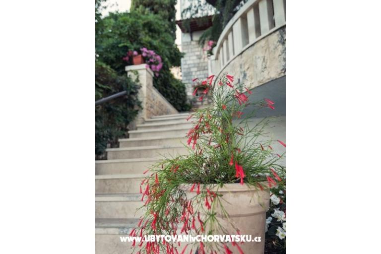 Apartamenty i Pokoje Villa Barbara – foto 11