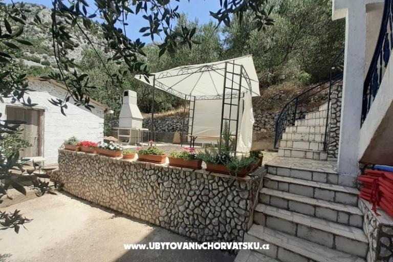 Apartamenty Luna – foto 5