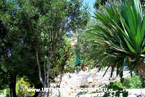 Apartamenty Mediterraneo – foto 13