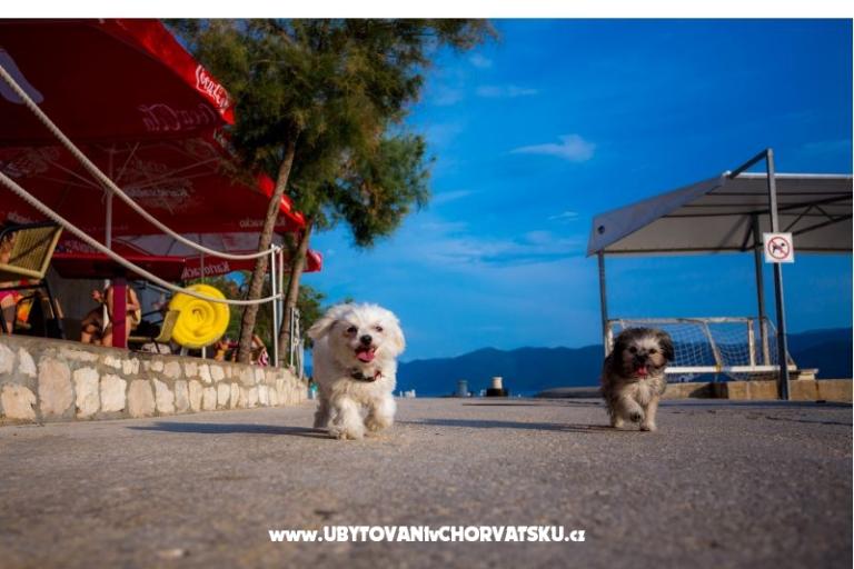 AG Komarna | Pelješac B. Apartamenty – foto 5