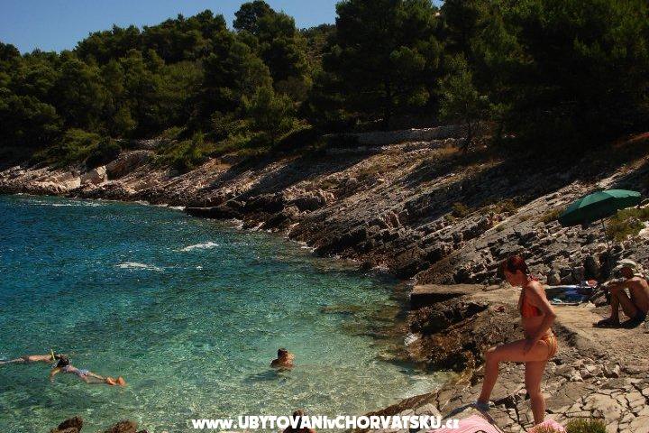Apartament Kaurloto – foto 6