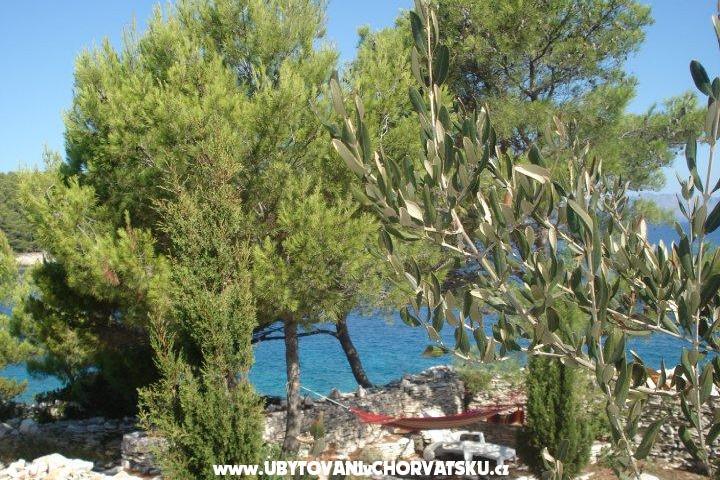 Apartament Kaurloto – foto 8