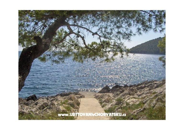 Apartamenty Ančila – foto 14