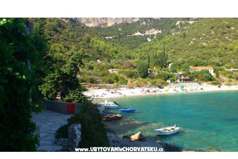 Apartamenty Šain – foto 10