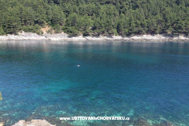 Apartamenty Šain – foto 12