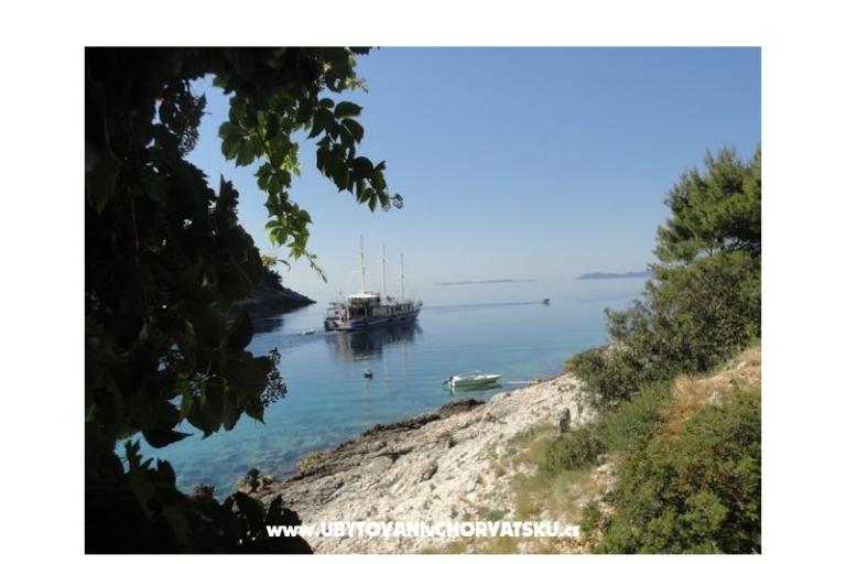 Apartamenty Šain – foto 13