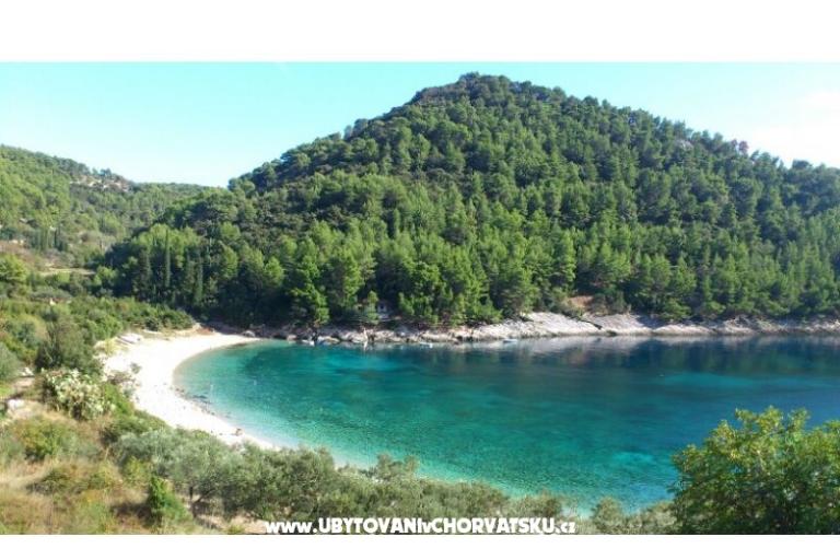 Apartamenty Šain – foto 15