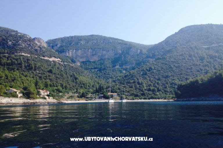 Apartamenty Šain – foto 16