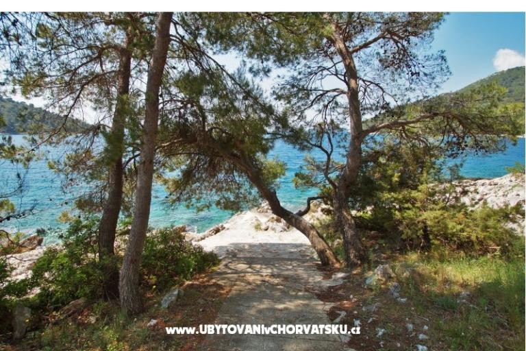 Apartamenty Marica P. – foto 6