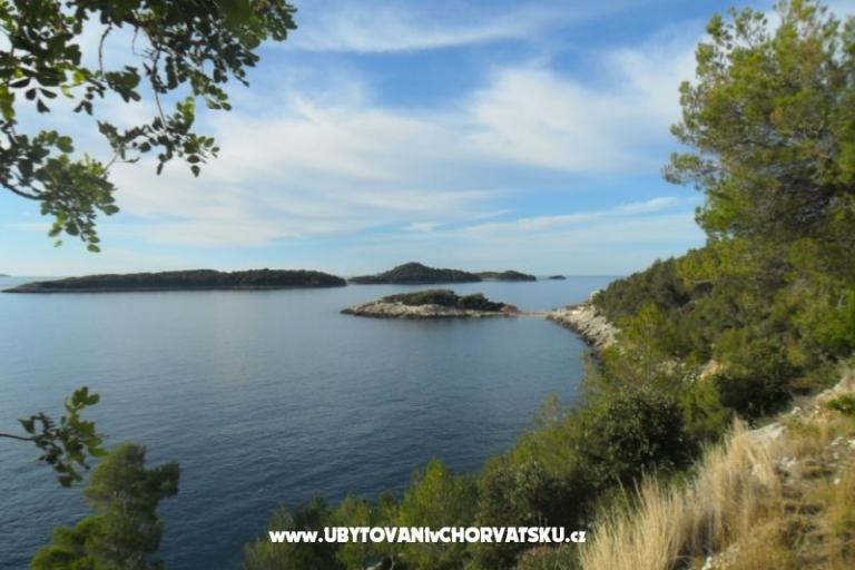 Apartamenty Marica P. – foto 8