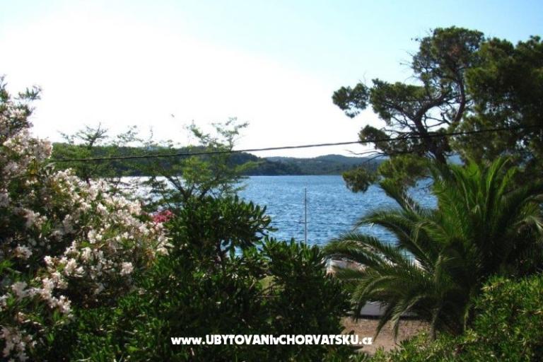 Apartamenty Morana – foto 15