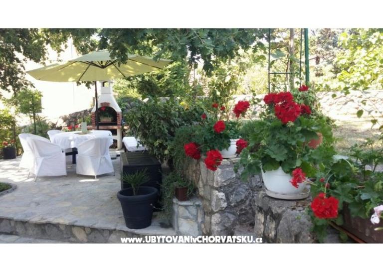 Apartament Sever – foto 11