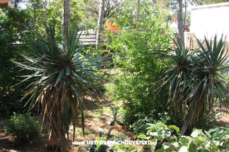 Apartament Borici – foto 17