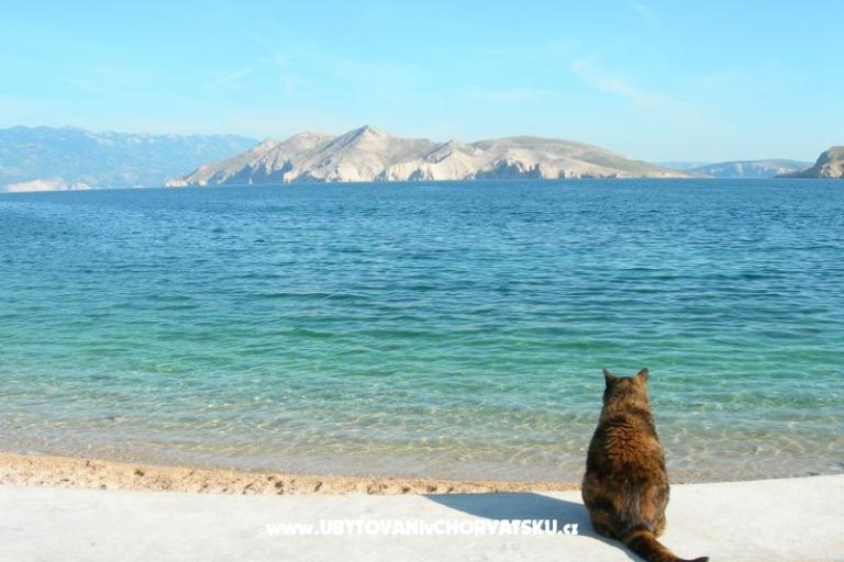 Apartament Linda – foto 18