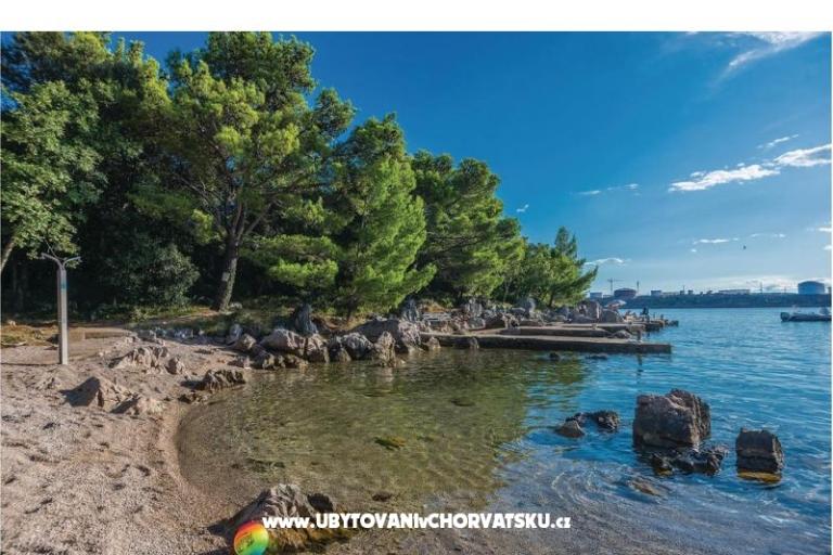 Apartamenty LUNA  – foto 5