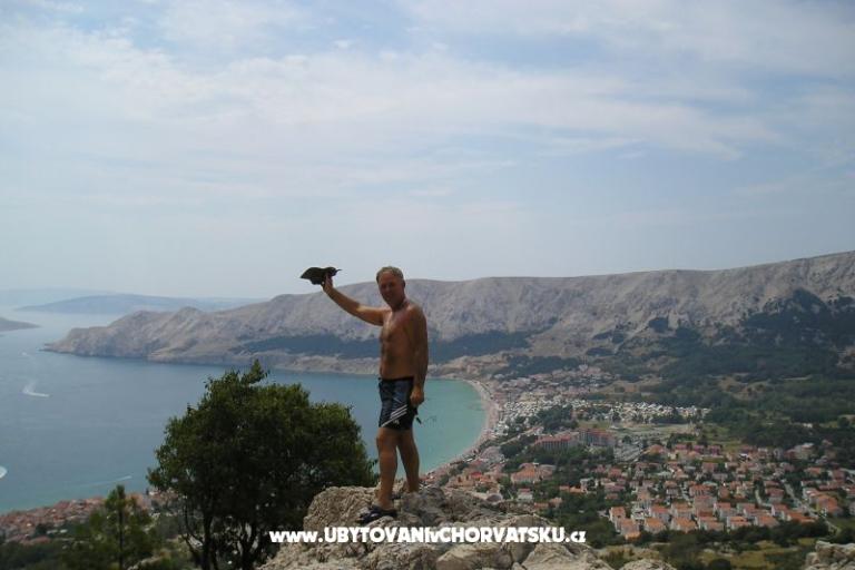 Apartamenty Banic – foto 14