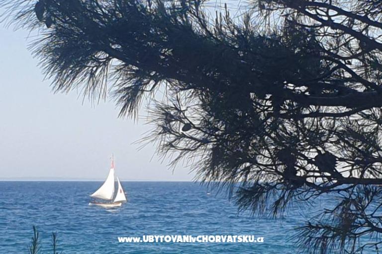 Apartamenty Blažević – foto 19