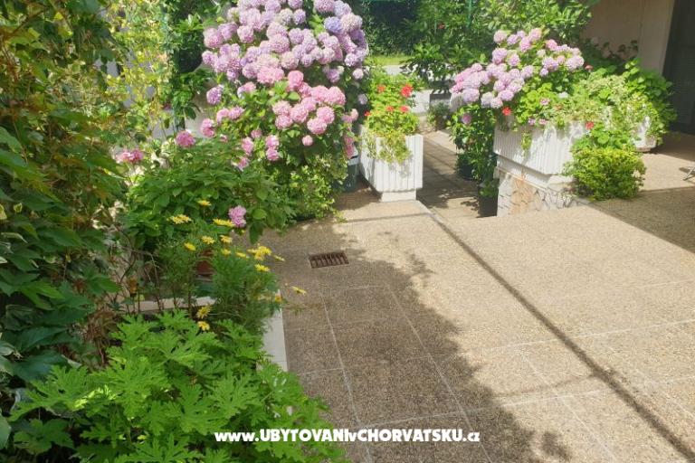 Apartamenty Blažević – foto 4