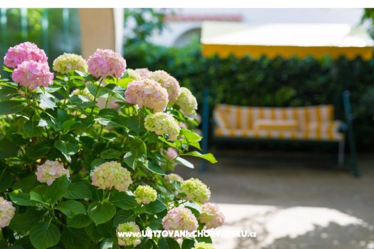 Apartamenty Blažević – foto 8