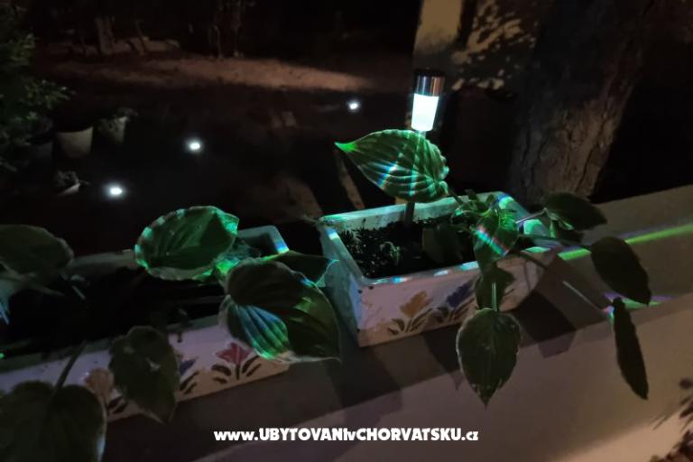 Apartamenty Casia – foto 16