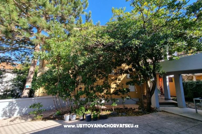Apartamenty Casia – foto 6