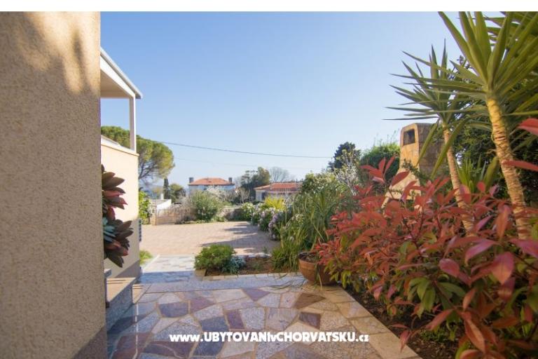 Apartamenty City Center Dekanic – foto 7