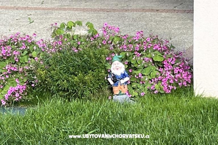 Apartamenty Fanuko – foto 22