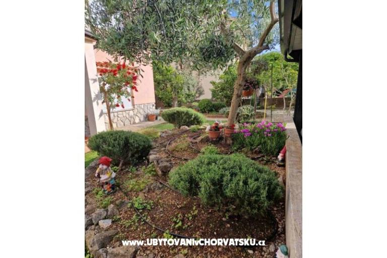 Apartamenty Fanuko – foto 23