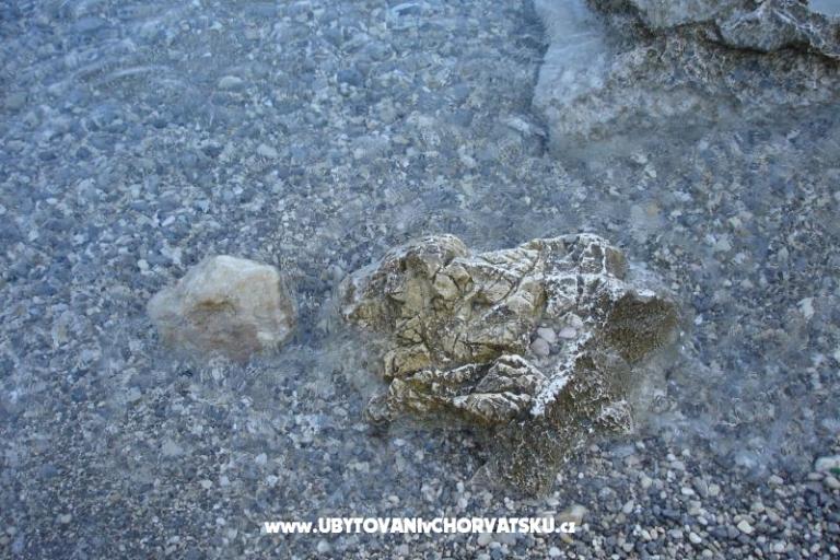 Apartamenty Grzalja-Rozic Krk – foto 16