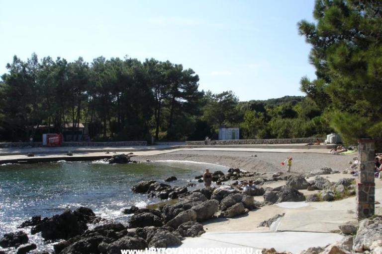 Apartamenty Grzalja-Rozic Krk – foto 4