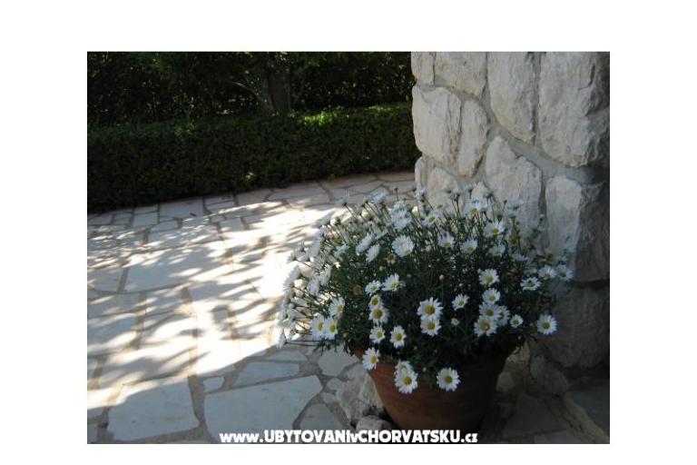 Apartamenty Iva&amp;Ivan – foto 7