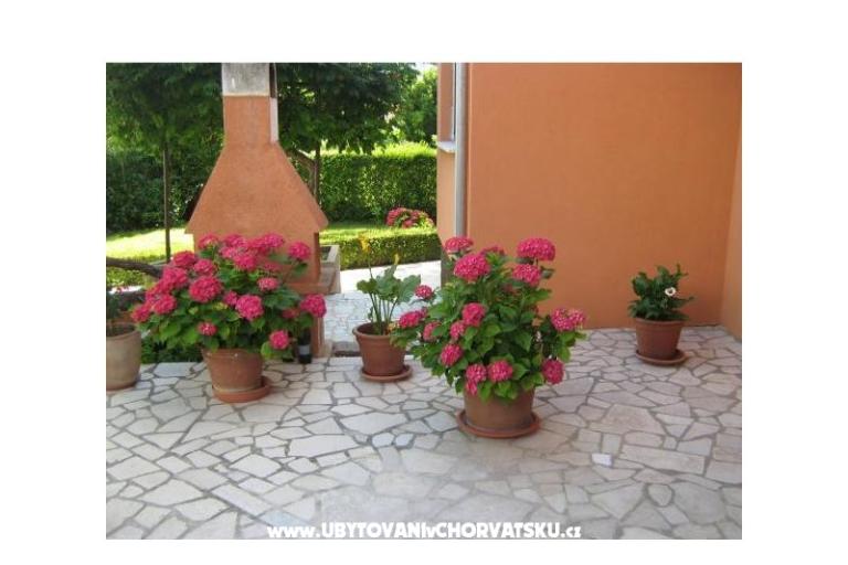 Apartamenty Iva&amp;Ivan – foto 8