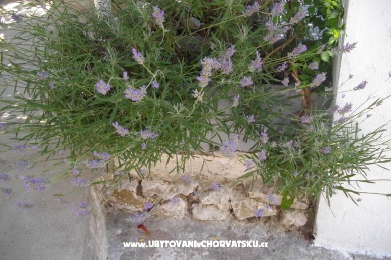 Apartamenty Kinkela – foto 12