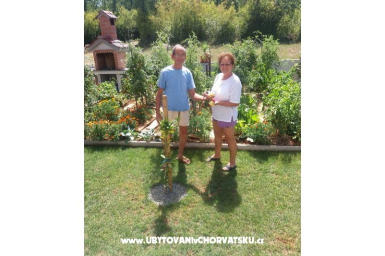 Apartamenty Klarić – foto 6
