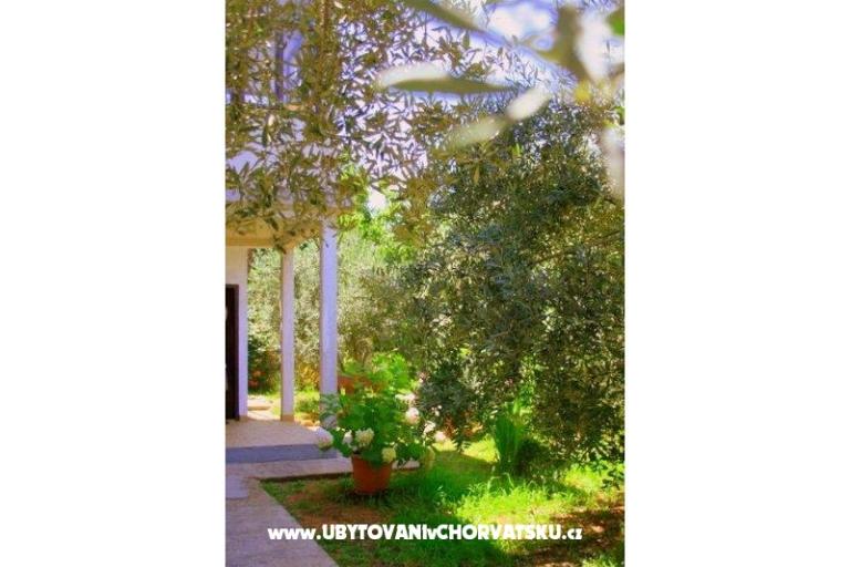 Apartamenty Krk-Hydrangea – foto 14