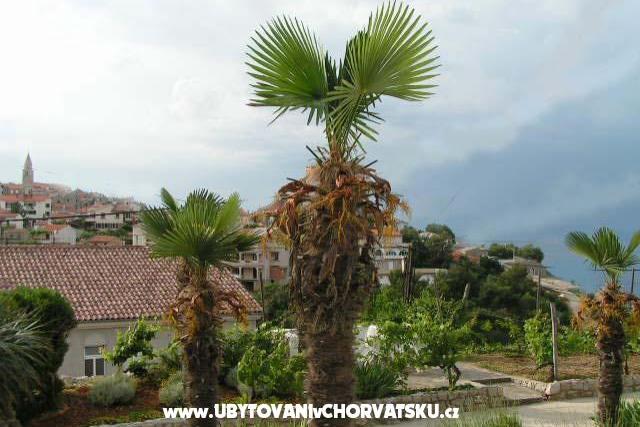 Apartamenty Maja – foto 6