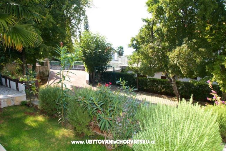 Apartamenty Matić – foto 7