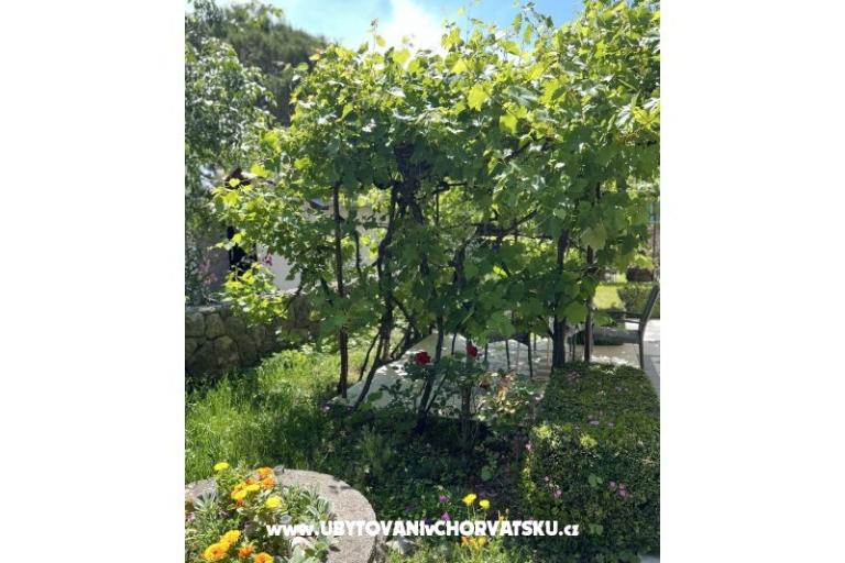 Apartamenty Matea – foto 22